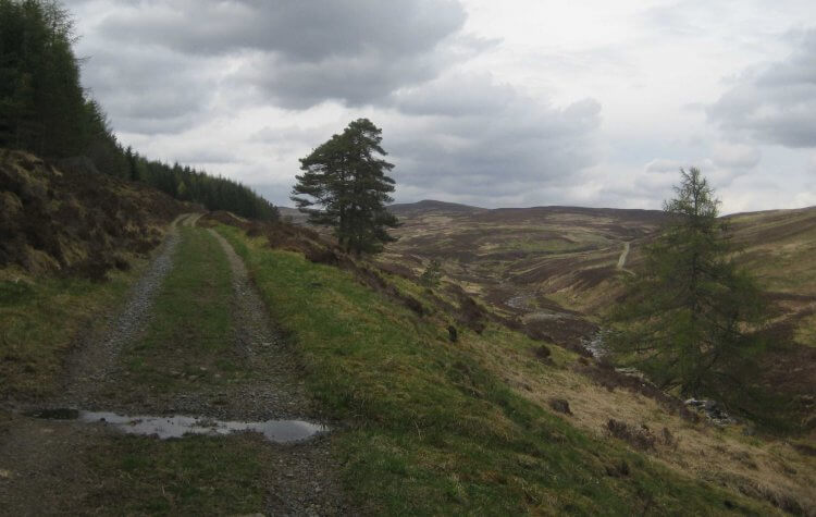 Falls of Bruar - Track along Glen Banvie Track along Glen Banvie