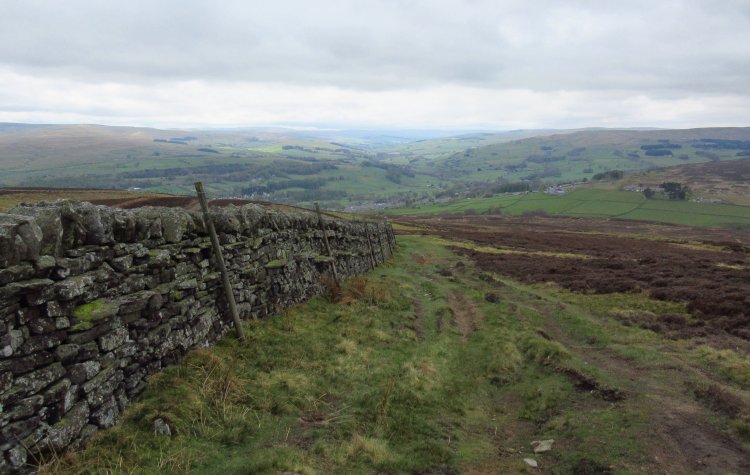 View towards Stanhope from Wolsingham Park Moor