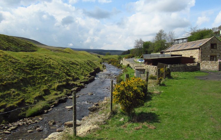 Bollihope Burn