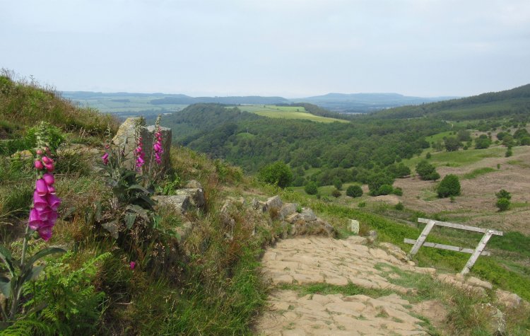 Great Ayton - Path across Roseberry Common Path across Roseberry Common