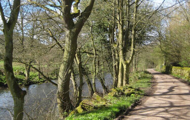 Path along the River Derwent