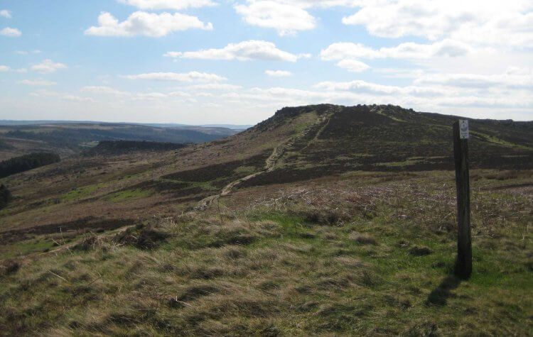 Path across the moor