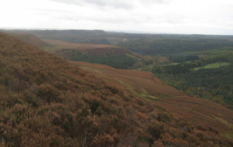 View of Newton Dale