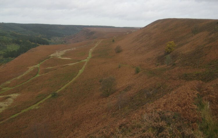 View from Levisham Moor
