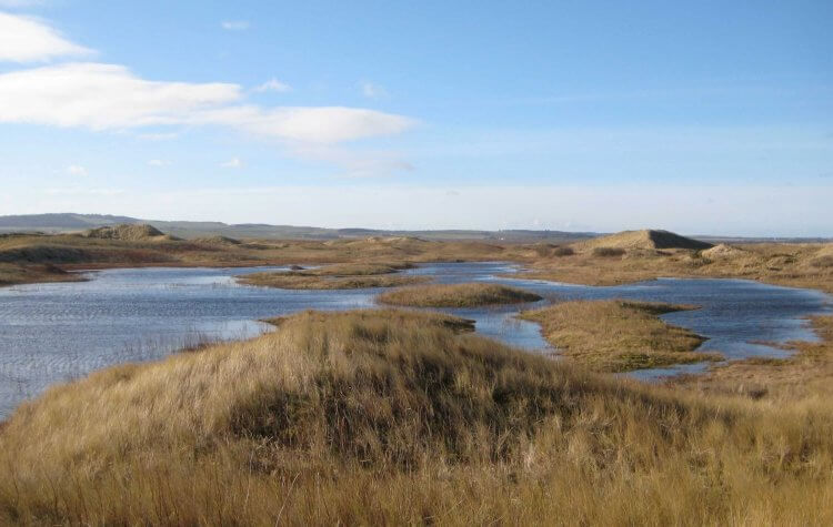 Holy Island dunes