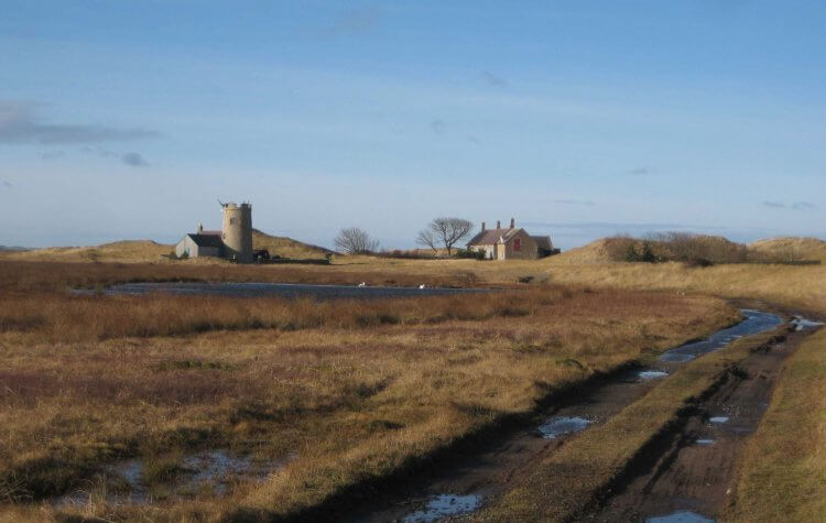 Cottages on Holy Island