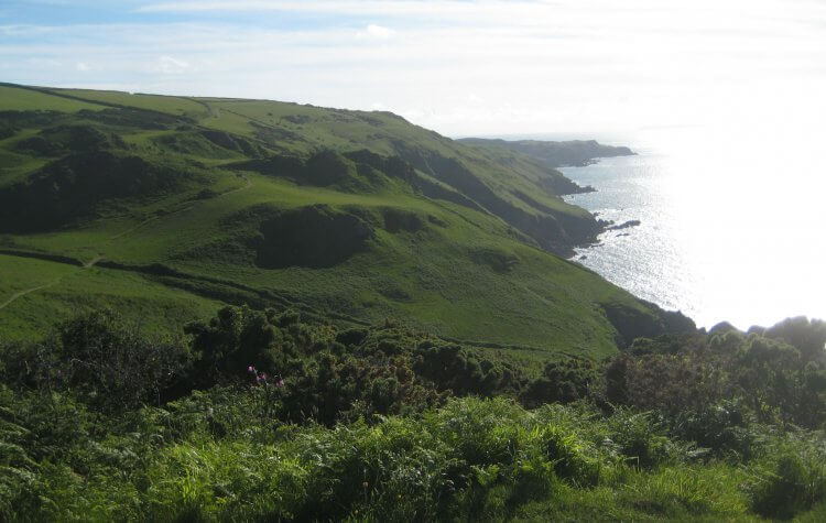 Ilfracombe - View of the Coastal Cliffs View of the Coastal Cliffs