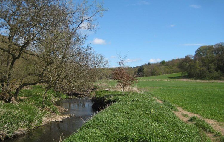 Kibblesworth - looking back down the River Team looking back down the River Team