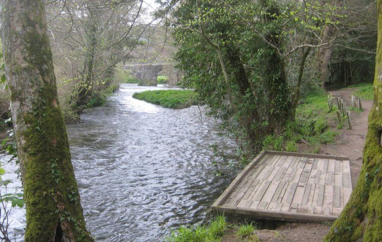 Lanhydrock - River Fowey River Fowey
