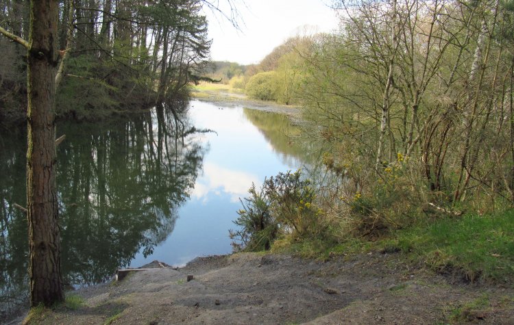 Path alongside the pond
