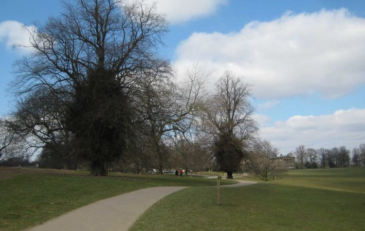 Nostell Priory - Path through the Nostell Priory Estate Path through the Nostell Priory Estate