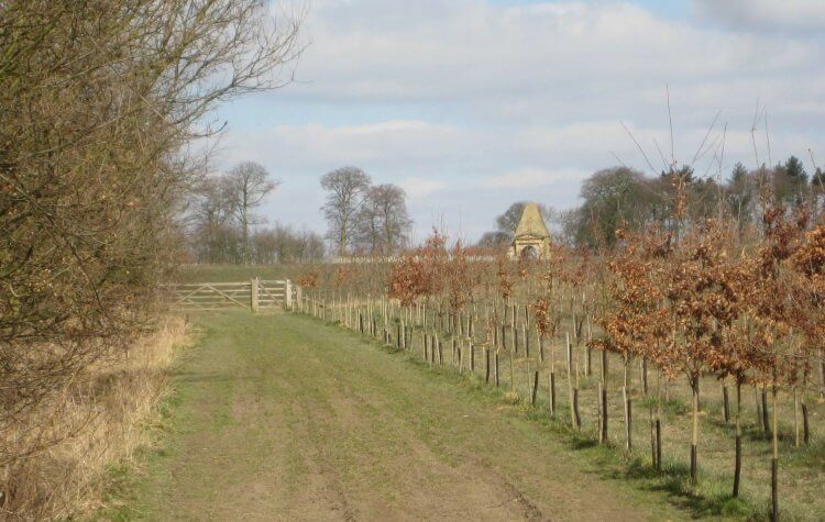 Nostell Priory - Path to the Obelisk Lodge Path to the Obelisk Lodge