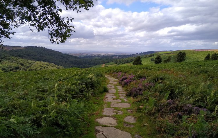 Osmotherley - Track from Thimbleby Moor Car Park Track towards Osmotherley from Thimbleby Moor Car Park