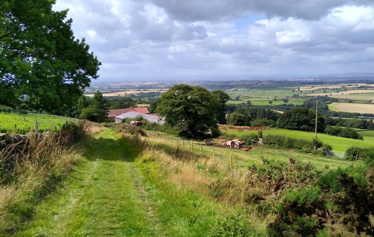 Osmotherley - View from Chapel Wood Farm View of Osmotherley from Chapel Wood Farm
