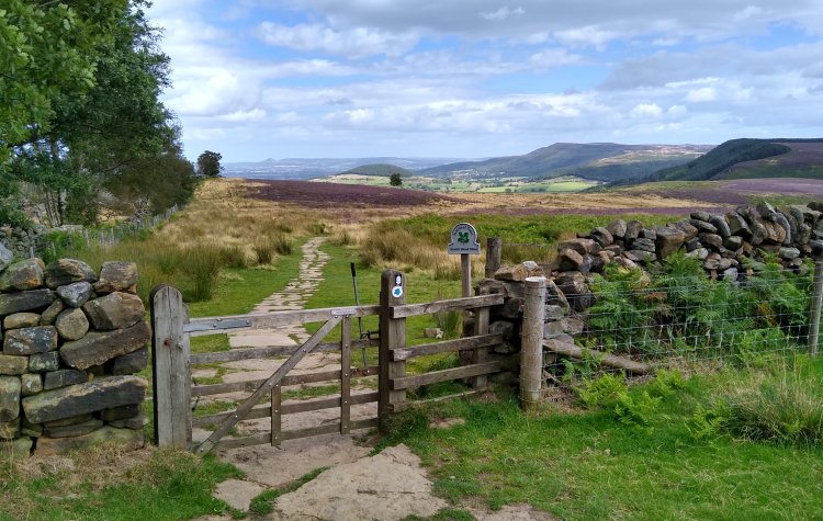 Osmotherley - Scarth Wood Moor track Track through Scarth Wood Moor