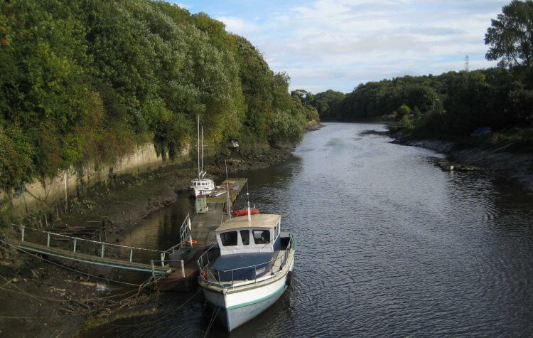 View from Cox Green bridge of the River Wear