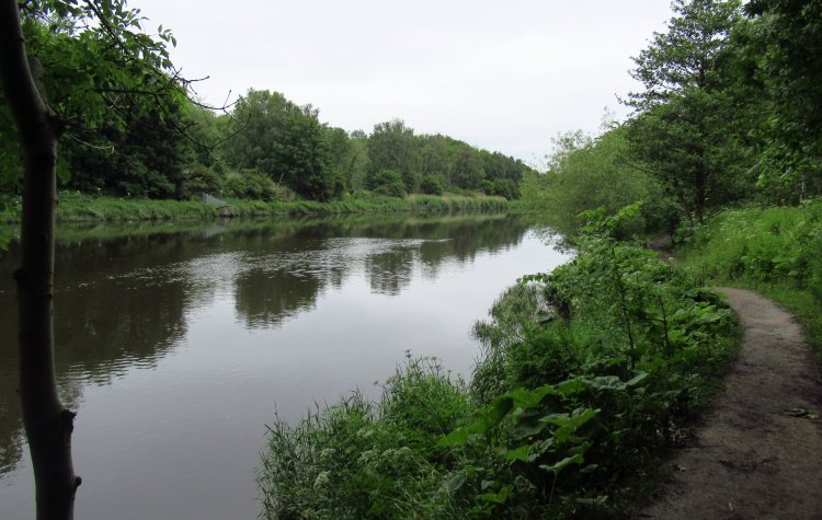 View of the River Wear