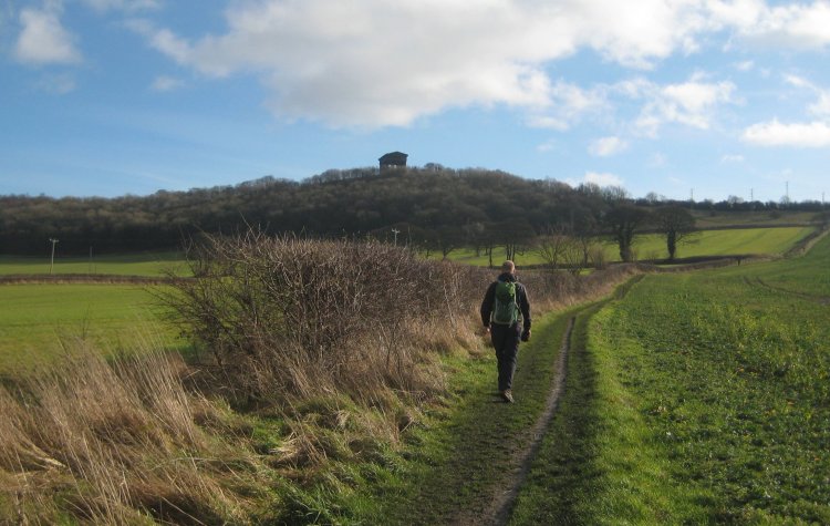 View of Penshaw monument from a distance