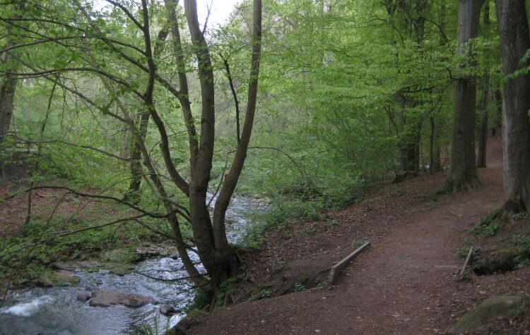 Perth - Path along the Annaty burn Path along the Annaty burn