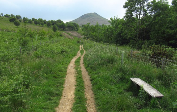 Guisborough - Path towards Roseberry Topping Path towards Roseberry Topping
