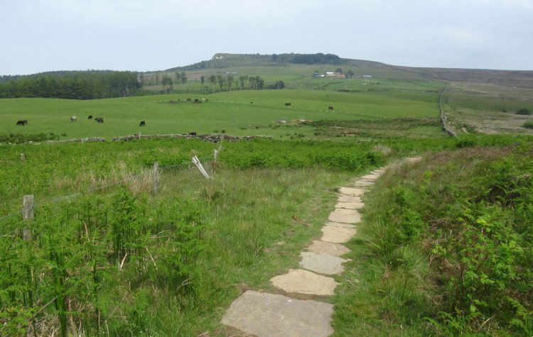 Guisborough - Looking back towards Highcliffe Nab on the Cleveland Way Looking back towards Highcliffe Nab on the Cleveland Way