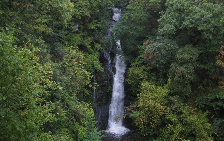Black spout