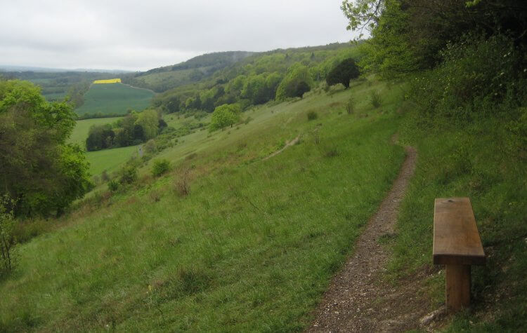 View from the Pilgrims Way path