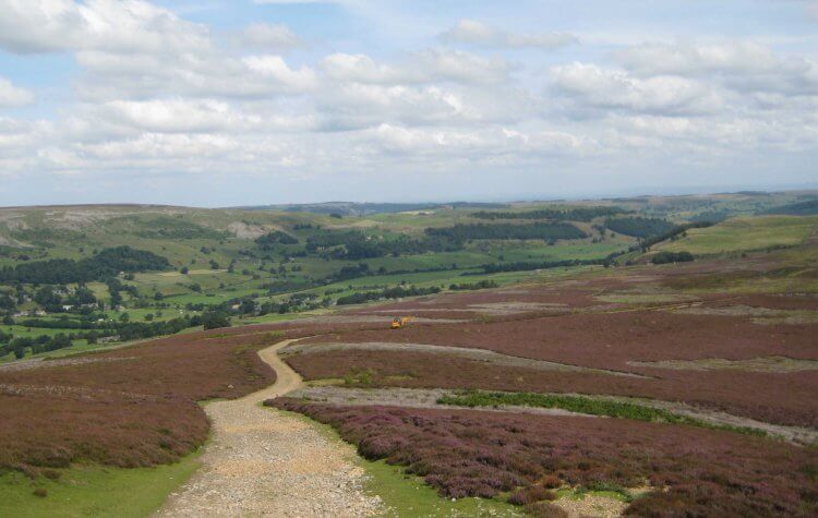 Path through the heather