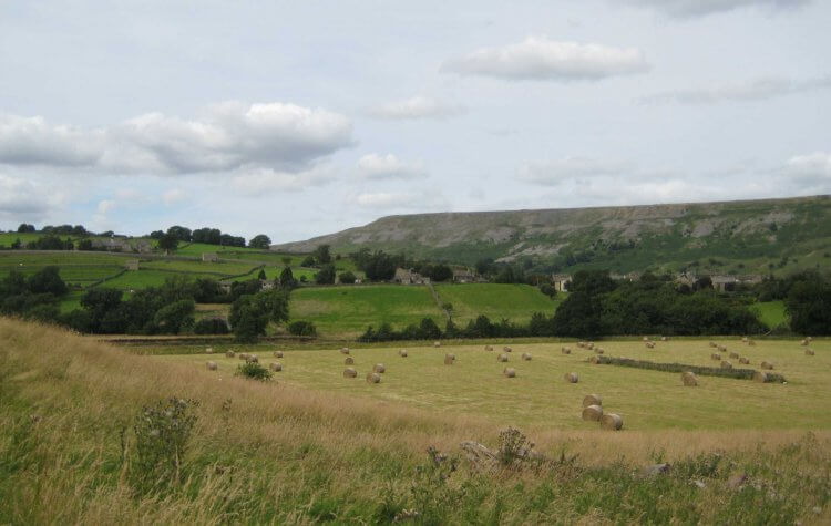 Hay bales in the fields