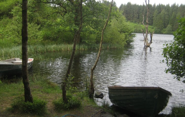 Rowing boats on the reservoir