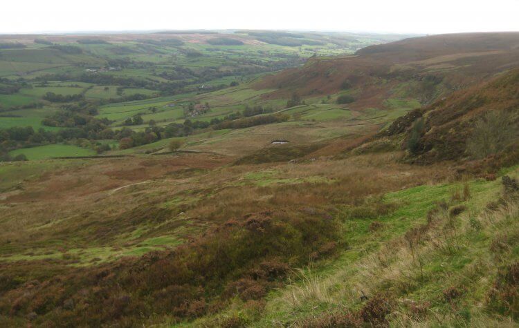 View of Rosedale valley