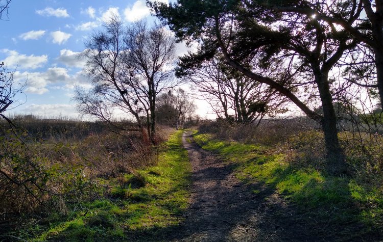 Scarborough - The Cinder Track The Cinder Track towards Scarborough