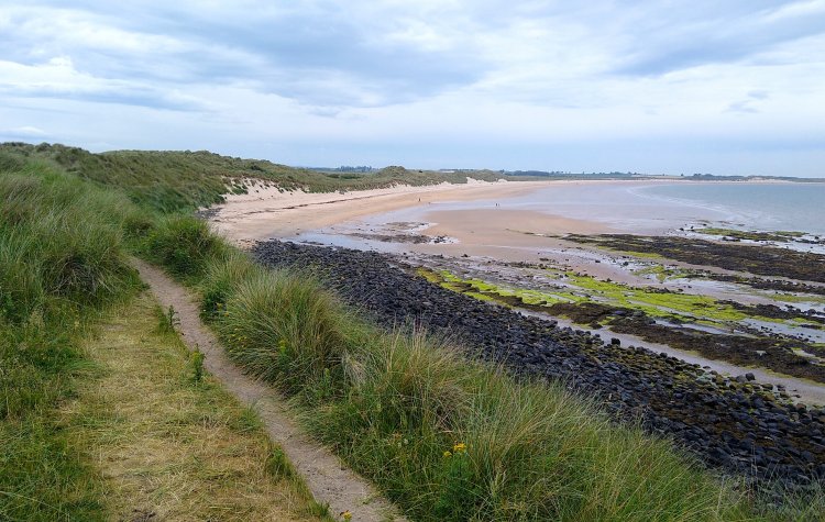 View from the dunes across Beadnell Bay