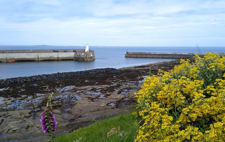 View of the Farne Islands from Seahouses
