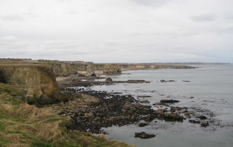 View of Marsden Rock