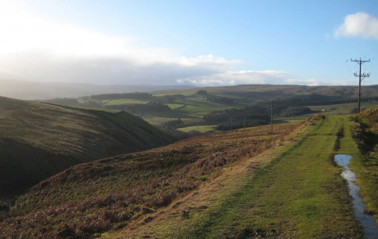 Path through the hills towards Stanhope Burn