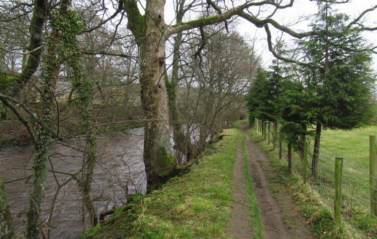 Path along the banks of the River Wear