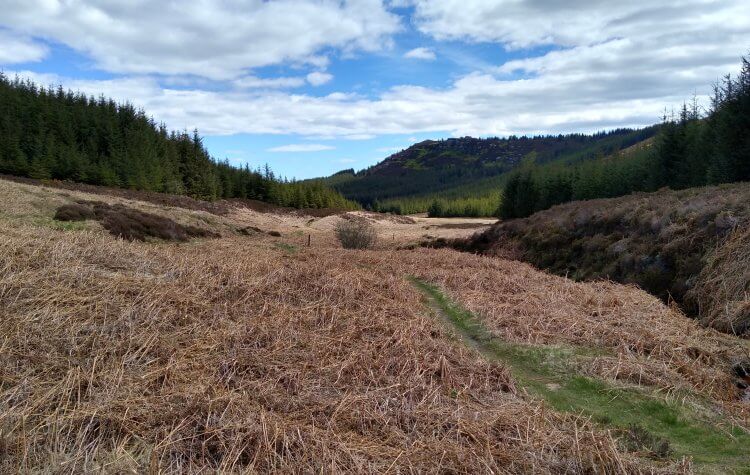 View across moorland up to Long Crag