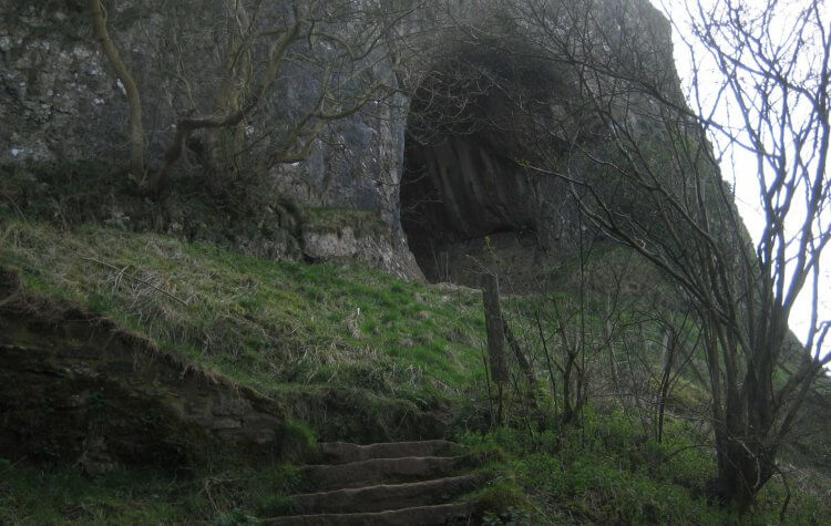 Reynard's cave