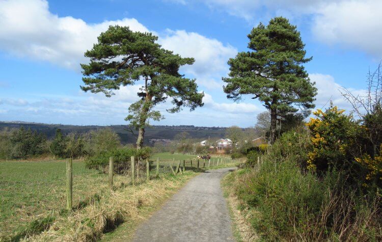 Woodhouses Lane