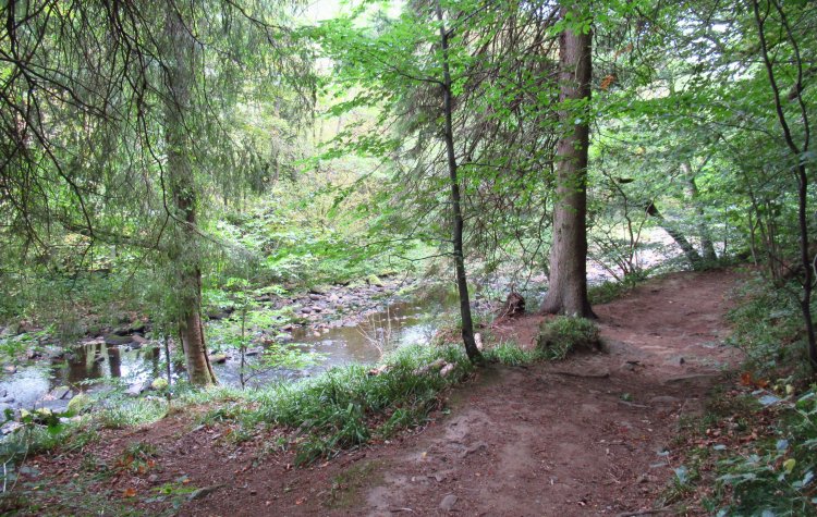 Whitley Chapel - Path alongside Devil's Water River Path alongside Devil's Water River