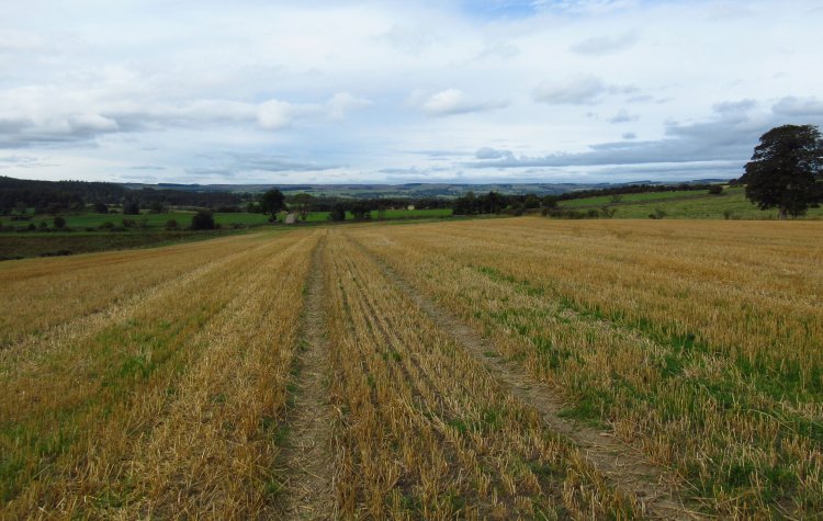 Whitley Chapel - Field path at Highclear Farm Field path at Highclear Farm