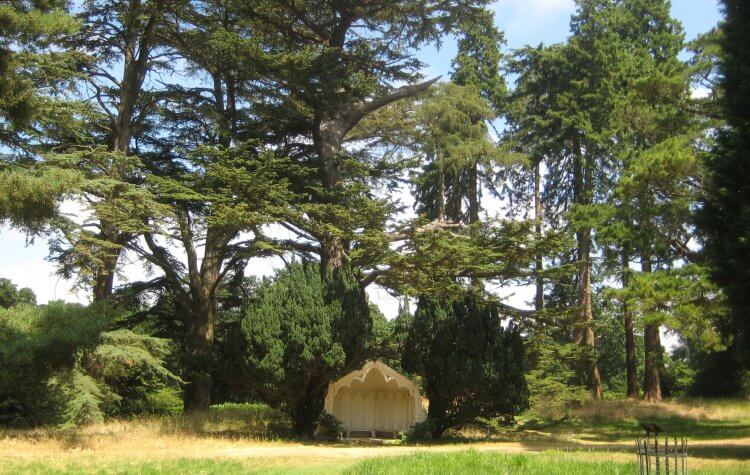 Woburn - Tall Trees Tall Trees