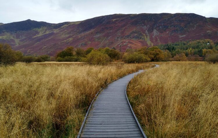 The boardwalk on the south end of Derwentwater