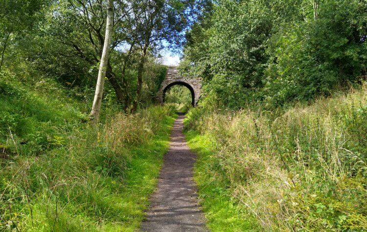 Eggleston - Tees Railway Walk towards West Pasture Road Bridge Tees Railway Walk towards West Pasture Road Bridge