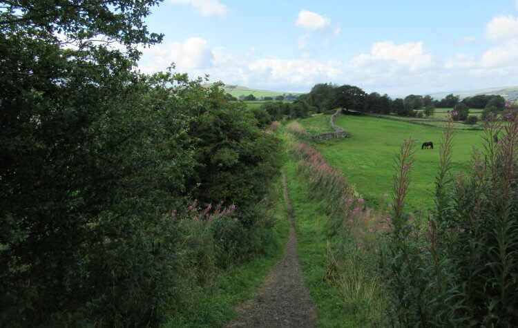 Eggleston - Tees Railway Walk near Romaldkirk Tees Railway Walk near Romaldkirk