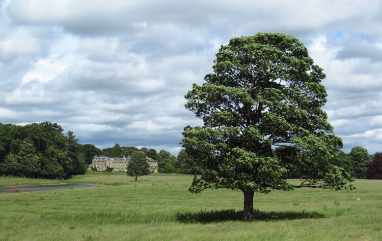 Bradley Hall