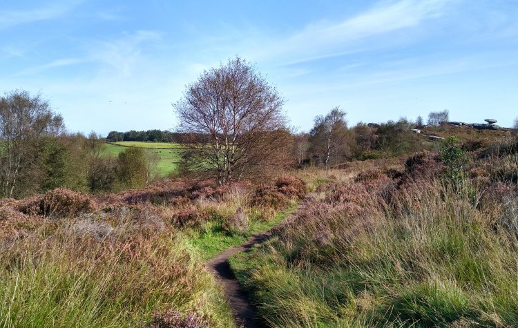 Brimham Rocks - Distant View Distant View of Brimham Rocks