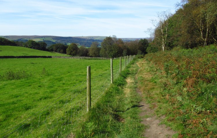 Brimham Rocks - Nidderdale Way towards Smelthouses Nidderdale Way towards Smelthouses