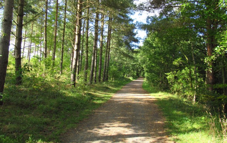 Ushaw - Deerness Valley Railway Path Deerness Valley Railway Path near Ushaw Moor